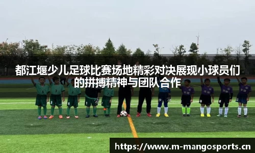芒果体育官方网站