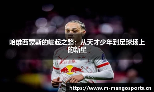 芒果体育官方网站
